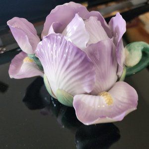 Violet Teapot